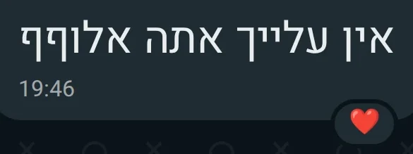 הודעת וואטסאפ מלקוח: אין עלייך אתה אלוףף