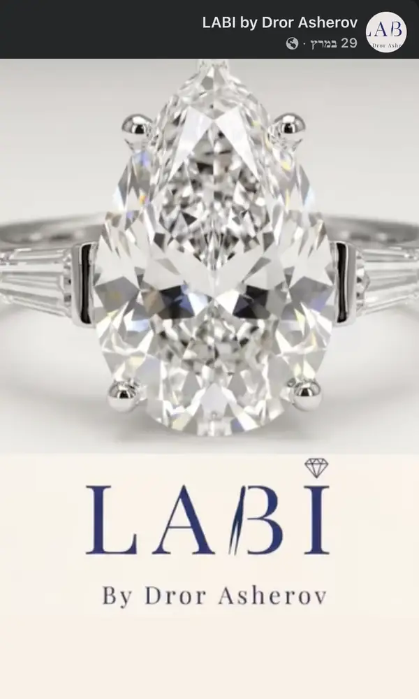 פוסט שפרסמו LABI by Dror Asherov בפייסבוק עם סרטון AI שיצרתי להם